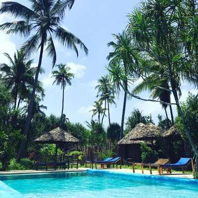 www.spirit-of-zanzibar.com