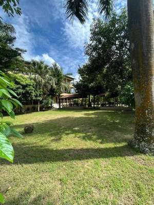 www.tigerresidency.com