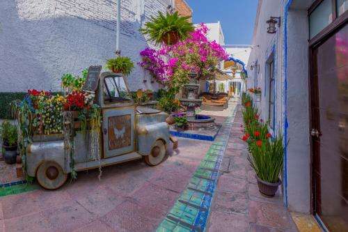 www.lamansiondelburroazul.com