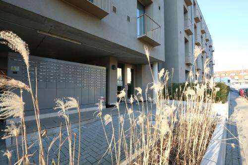 www.campus.apartments