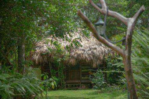 www.aventurarinconecolodge.com