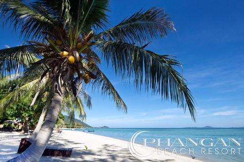 www.kohphanganbeachresort.com