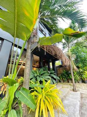 www.dayonhostel.com