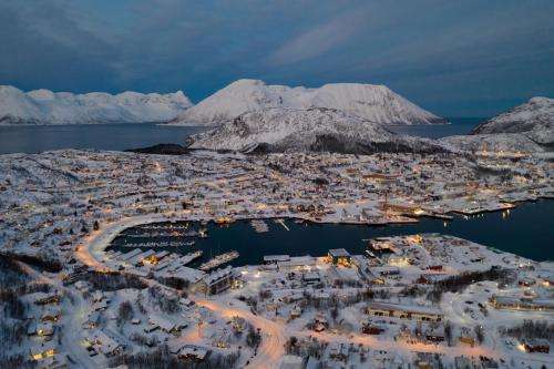 www.skjervoy-fiskecamp.com