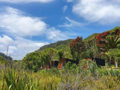 www.punakaikibeachcamp.co.nz