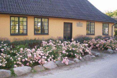 www.dyrlevbnb.dk