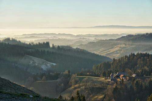www.ahorn-alp.ch