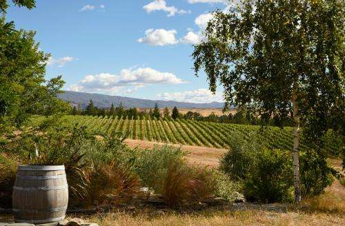 www.greyridge.co.nz