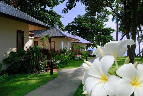 www.promtsukburi.com
