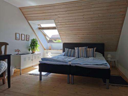 www.safinebb.dk