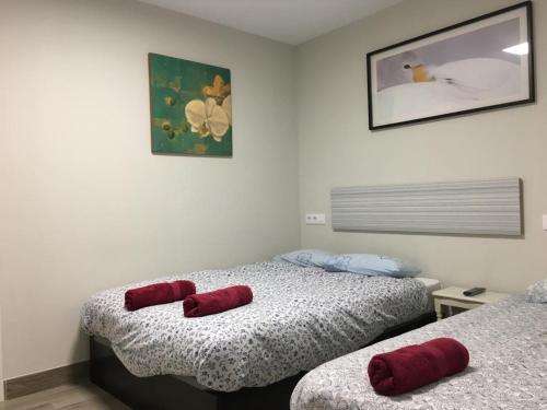 www.albergue-logrono-centro.com.es