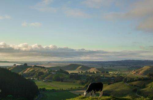 www.thefarmstay.com