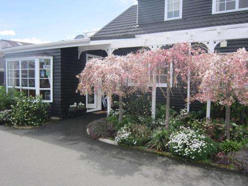 www.cottagemews.co.nz