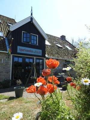 www.destormvogel.nl