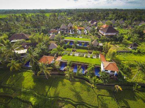 www.ubudgreen.com