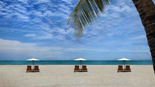 www.bintang-bali-hotel.com