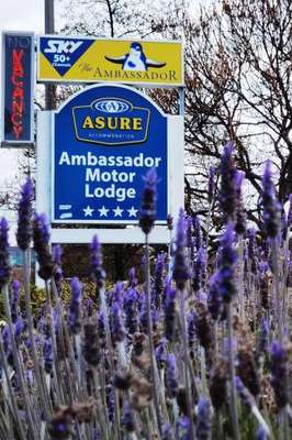 www.ambassadoroamaru.co.nz