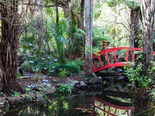 www.whangareibedandbreakfast.co.nz