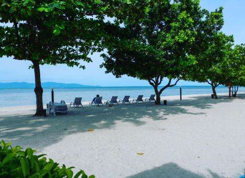 www.rungarun-resort.net