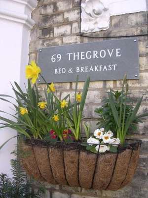 www.69thegrove.com