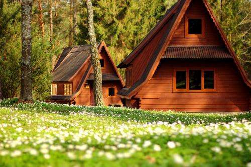 www.golkowice.pl