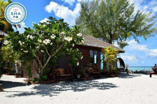 www.andaresort.com