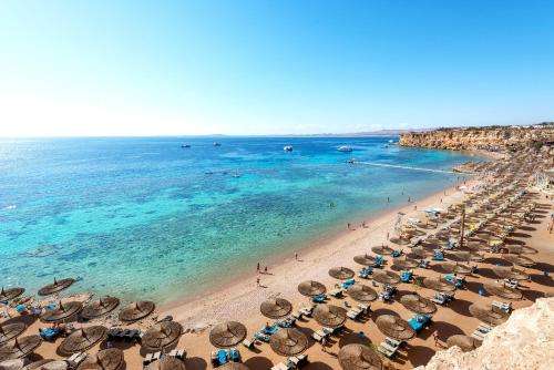 www.reefoasisbeachresort.com