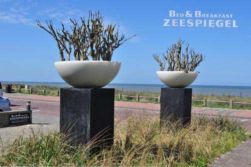 www.bbzeespiegel.nl