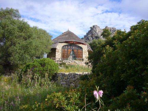 www.grazalemaconencanto.com
