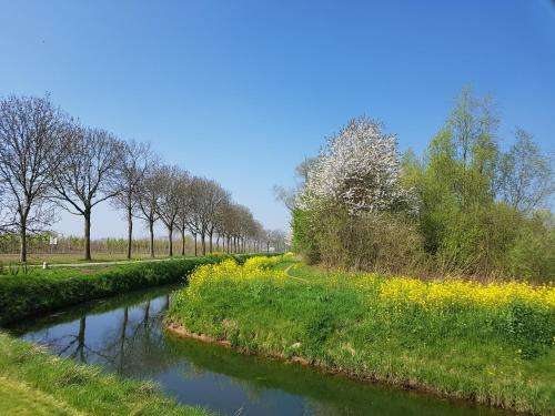 www.hetzwanennest.nl