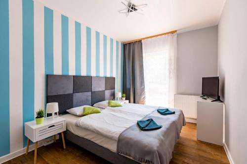 www.apartamentypodmodrzewiem.pl