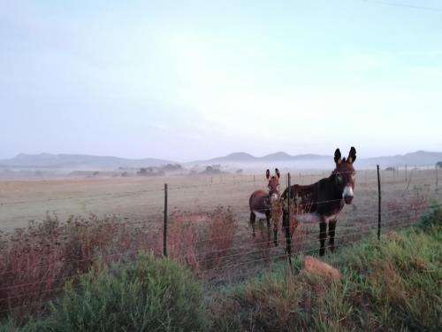 www.rusthofaccommodation.co.za