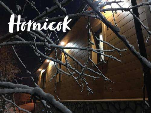 www.hornicok.pl