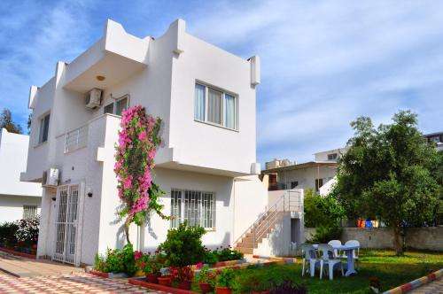 www.lavinyaotel.com