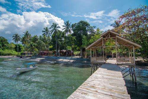 www.pristine-paradise.com