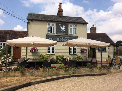 www.thewhitehart.uk.com