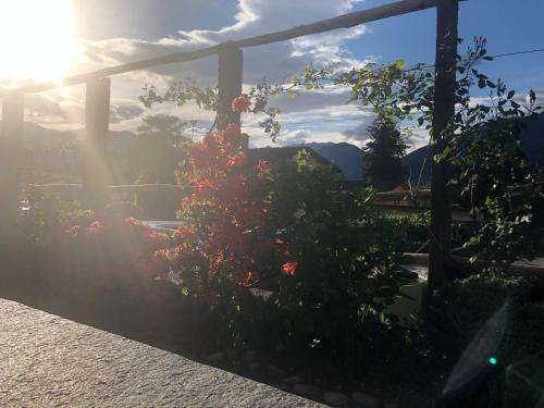 www.grottino-piazzogna.ch