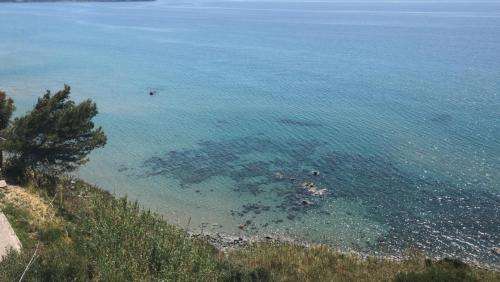 www.puntacilento.com