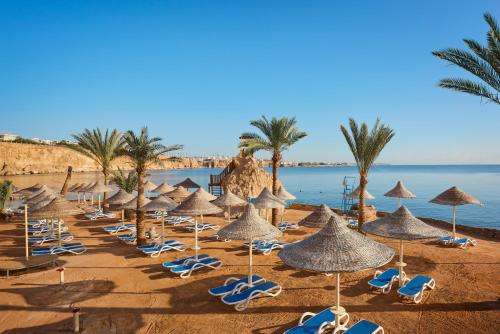 www.dreamsresortsegypt.com