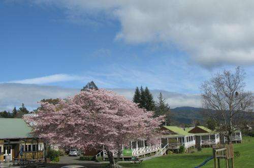 www.turangibridgemotel.co.nz