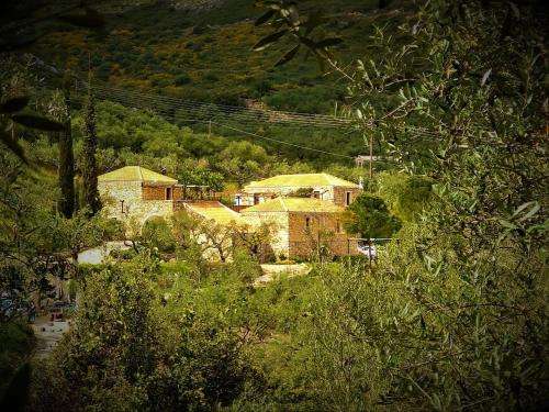 www.tsivouli.com