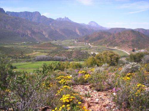 www.thecountrygarden.co.za