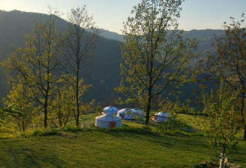 www.yurteinlanga.it