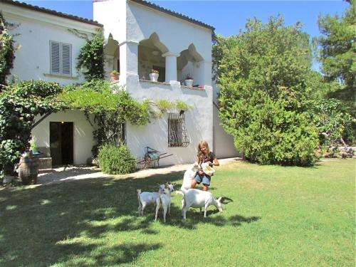 www.madonnadegliangeli.com