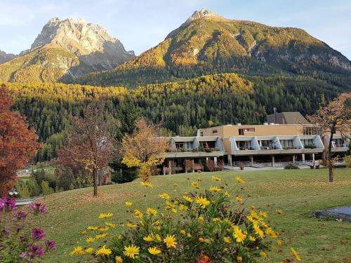 www.tulai.ch