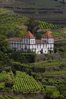 www.casatorresdeoliveira.com