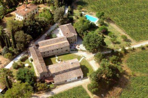 www.vignedipace.it