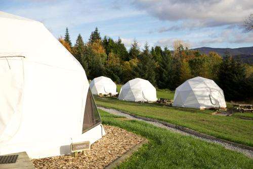 www.lochtay-vacations.co.uk