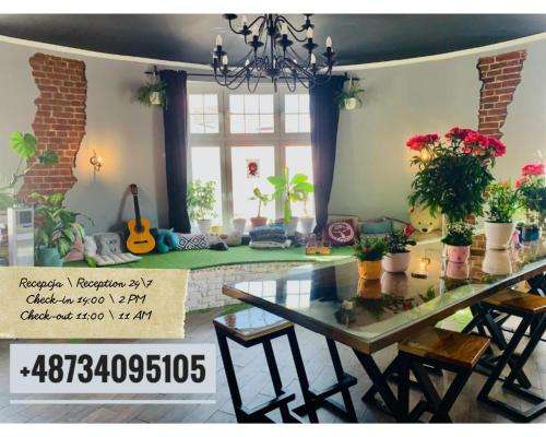 www.chilli-hostel.com