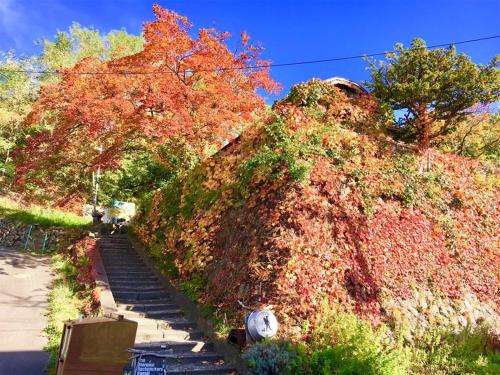 www.otaru-backpackers.com